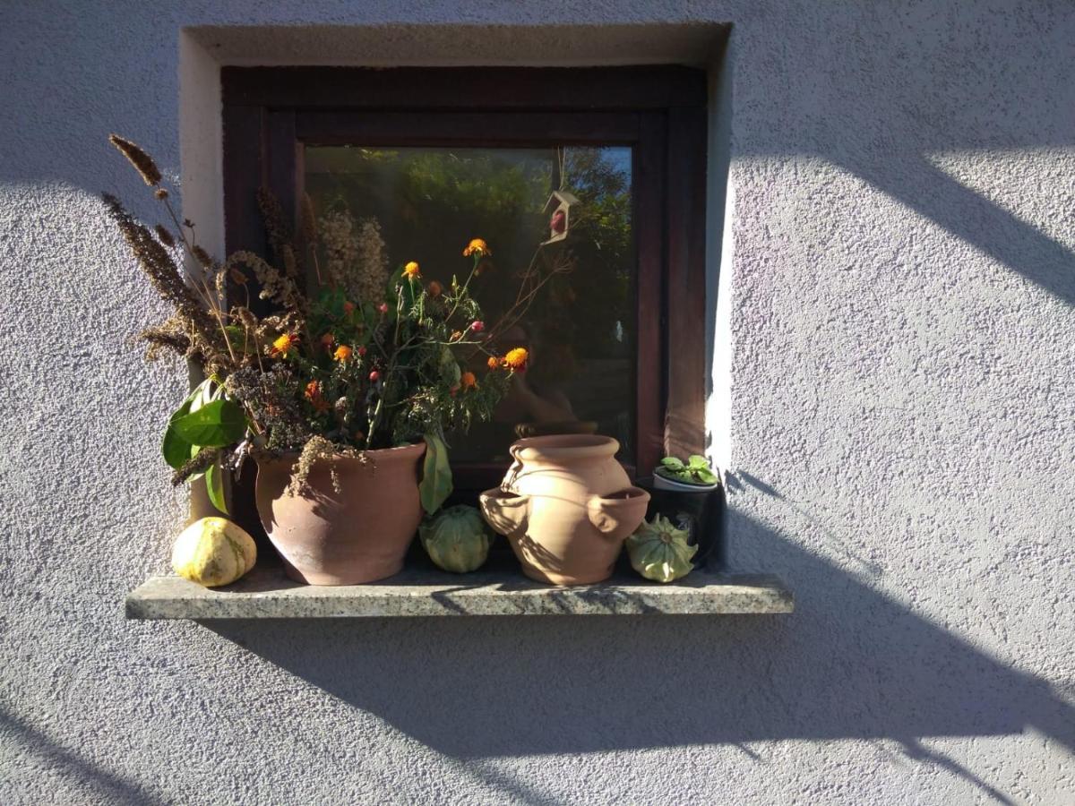 Ferienhaus Badetz Esterno foto